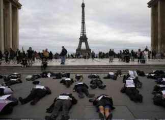 Féminicides en France : Analyse du Traitement Médiatique actuel news-19112024-093830