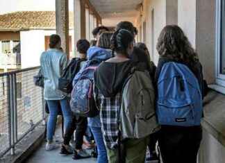 Les enfants exclus perdent confiance en les adultes news-21112024-115311