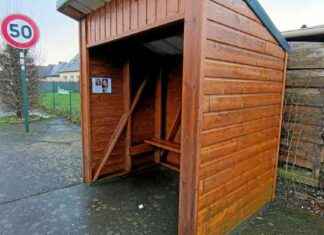 Morgane, une victime potentielle de récidive morgane-une-victime-potentielle-de-rcidive