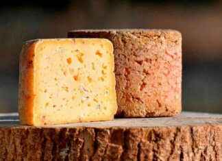 Analyse microscopique du fromage par Françoise Irlinger analyse-microscopique-du-fromage-par-franoise-rlinger