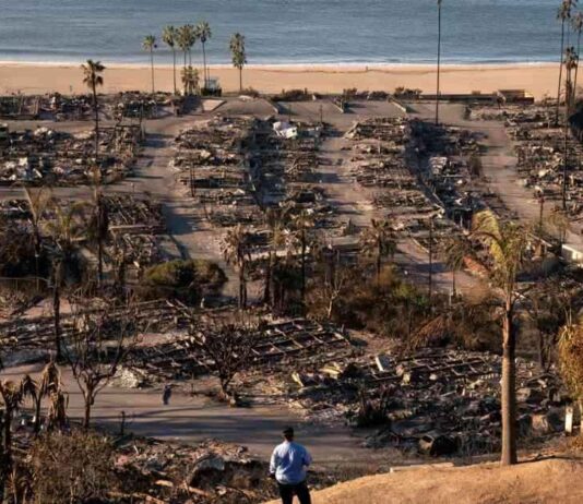 Incendies à Los Angeles : La disparition du sens de la normalité ncendies-los-angeles-la-disparition-du-sens-de-la-normalit