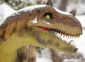 Découverte de 47 empreintes de dinosaures dans une école en Australie dcouverte-de-47-empreintes-de-dinosaures-dans-une-cole-en-australie