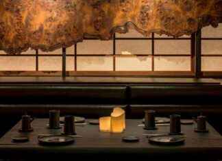 La sophistication élégante de Saint Laurent la-sophistication-lgante-de-saint-laurent