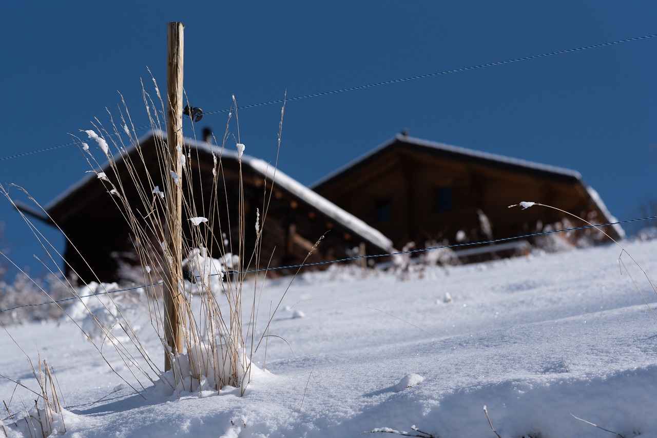 Le charme des chalets de luxe dans les Alpes