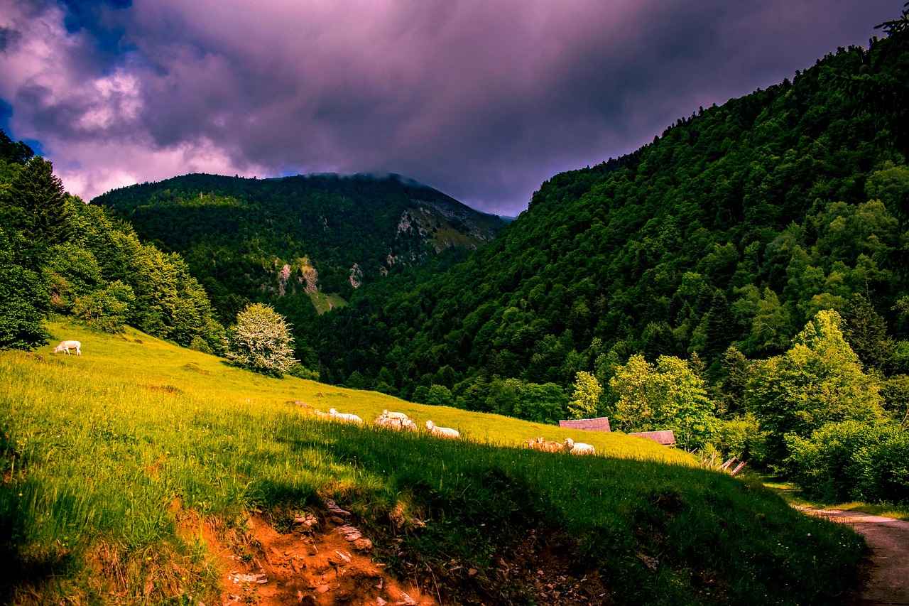 Camping Capfun : une aventure en pleine nature