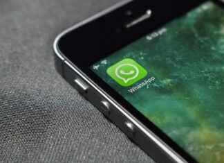 Chat sphynx, chat persan, chat bengal, cotons de Tuléar : Guide complet des races et du vermifuge chat en 2025 Chat sphynx, chat persan, chat bengal, cotons de Tuléar : Guide complet des races et du vermifuge chat en 2025