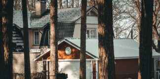 Châteaux et nature : érable du Japon, laurier, palmier, bananier ou agave au jardin Châteaux et nature : érable du Japon, laurier, palmier, bananier ou agave au jardin