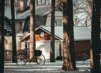 Châteaux et nature : érable du Japon, laurier, palmier, bananier ou agave au jardin Châteaux et nature : érable du Japon, laurier, palmier, bananier ou agave au jardin