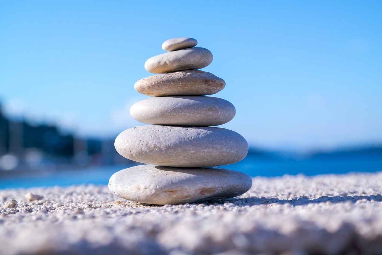 Conclusion : un jardin vivant et inspirant