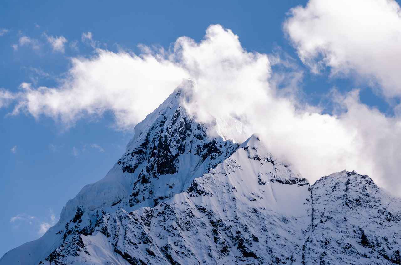 Nettoyage de la glacière électrique