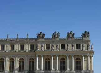 Confitures originales : confiture de figues maison, fruits exotiques, prune, feijoa, pain au chocolat et tarte tomate moutarde Confitures originales : confiture de figues maison, fruits exotiques, prune, feijoa, pain au chocolat et tarte tomate moutarde