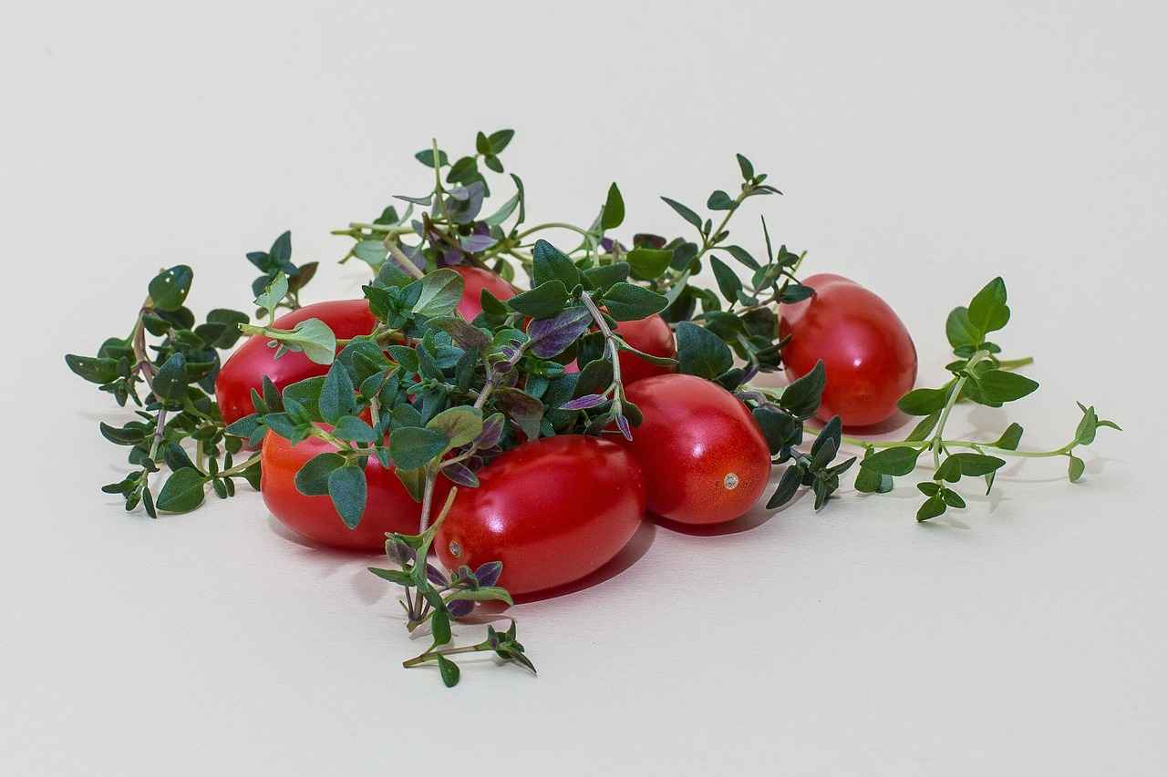 Conclusion : L'Art de la Cuisine avec Ail des Ours, Origan, Basilic et Navet