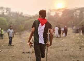 Drapeau Palestine et Pologne, drapeau LGBT, significations et enjeux géopolitiques et culturels actuels Drapeau Palestine et Pologne, drapeau LGBT, significations et enjeux géopolitiques et culturels actuels