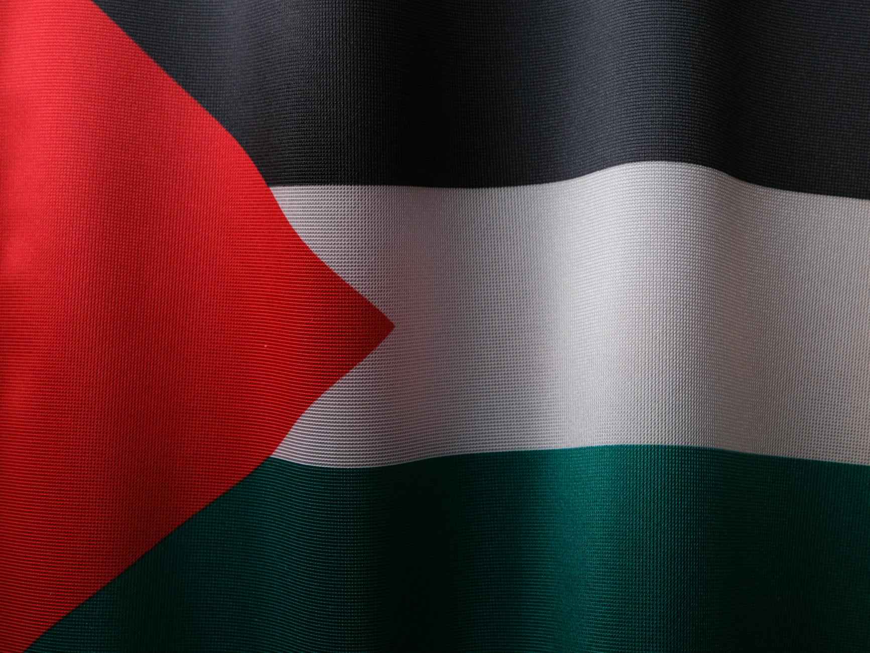 La Palestine: Un Drapeau de Résistance