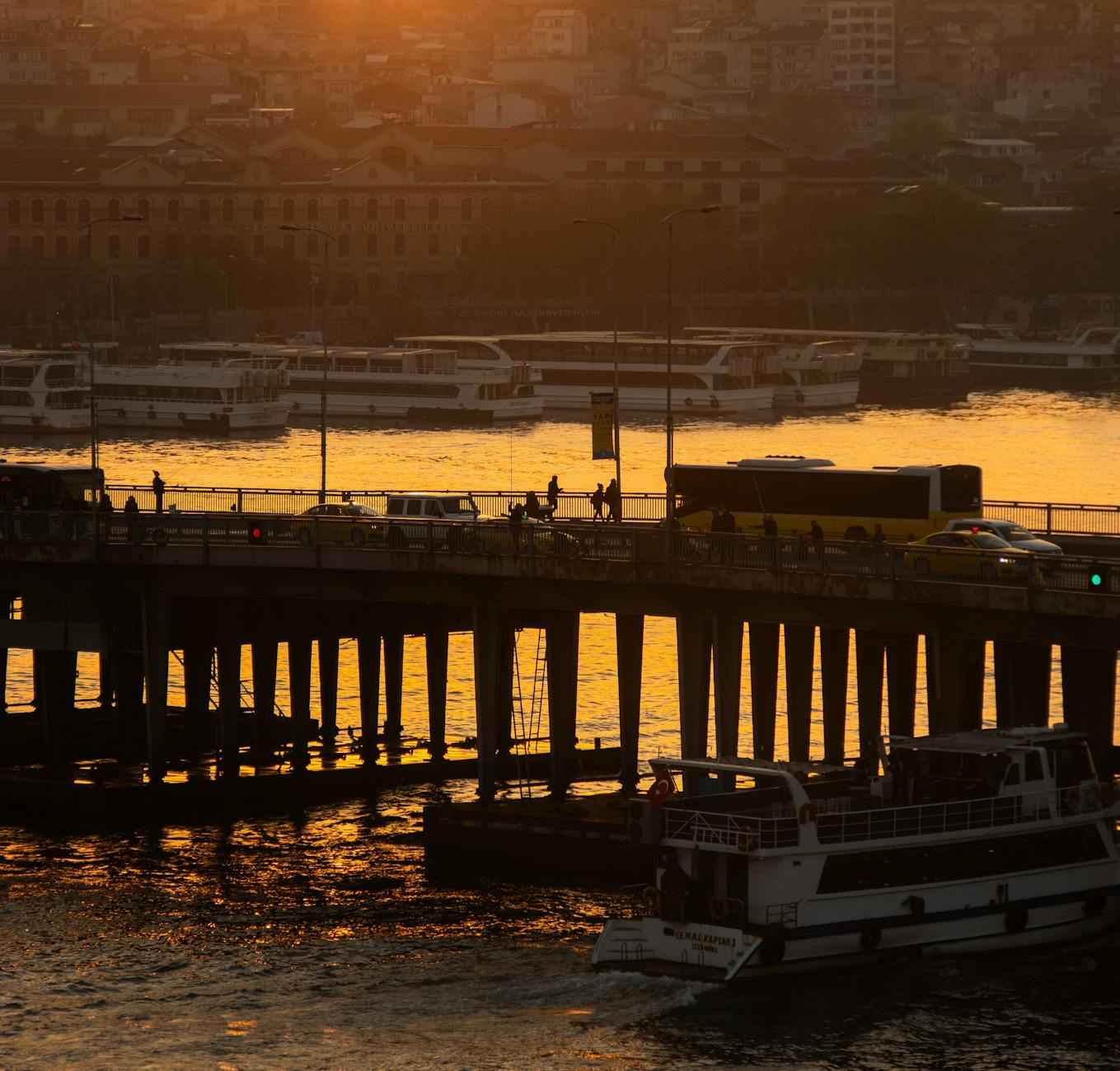 Événements à ne pas manquer : salon de l’agriculture 2025, Beaujolais nouveau 2025 et fête des grands-pères France 2025 4 Les Événements Culturels Associés