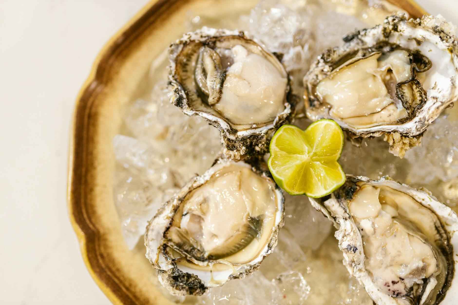 Dorade : un poisson noble