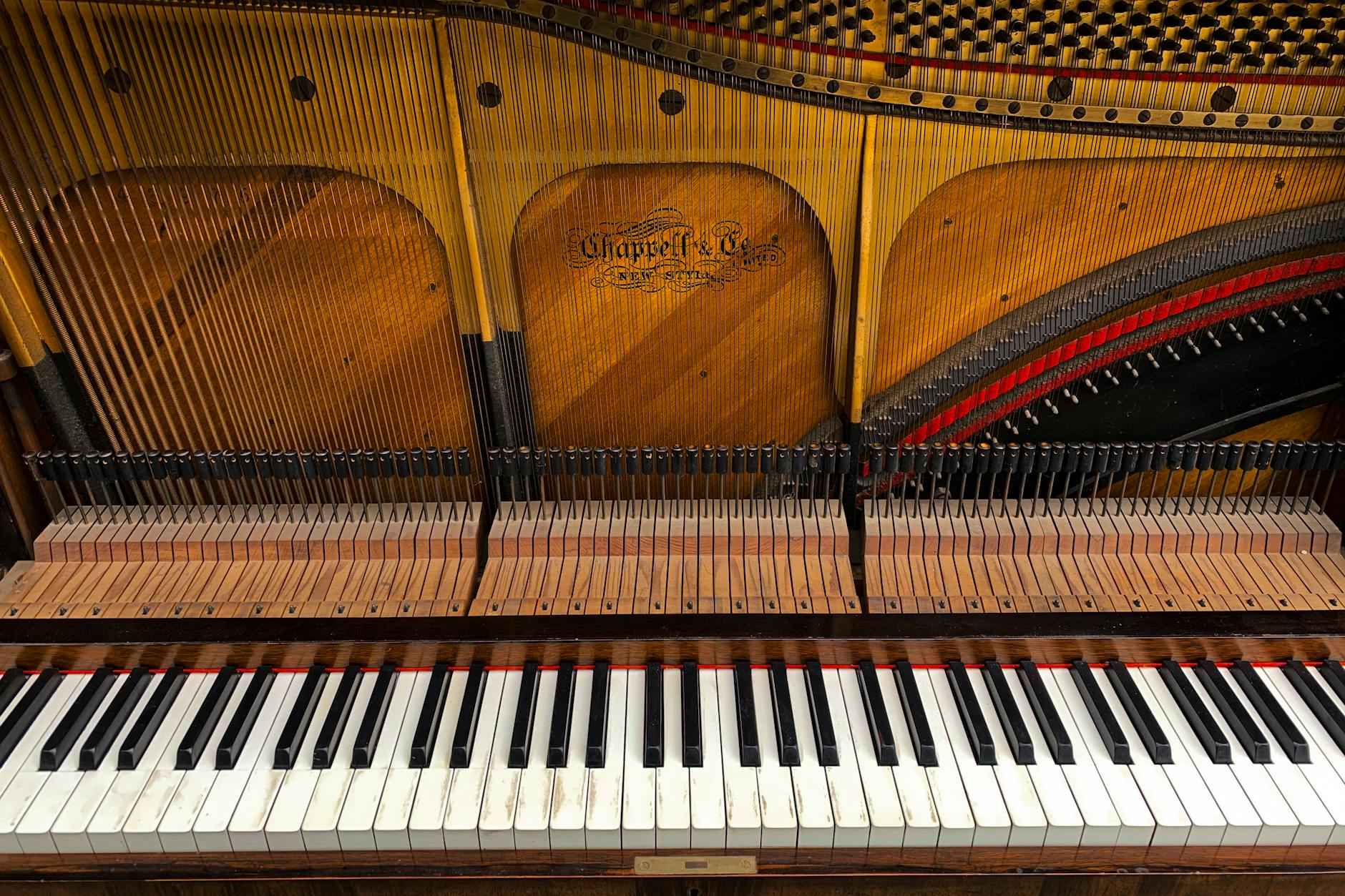 Conclusion : l'importance des instruments insolites dans notre quotidien