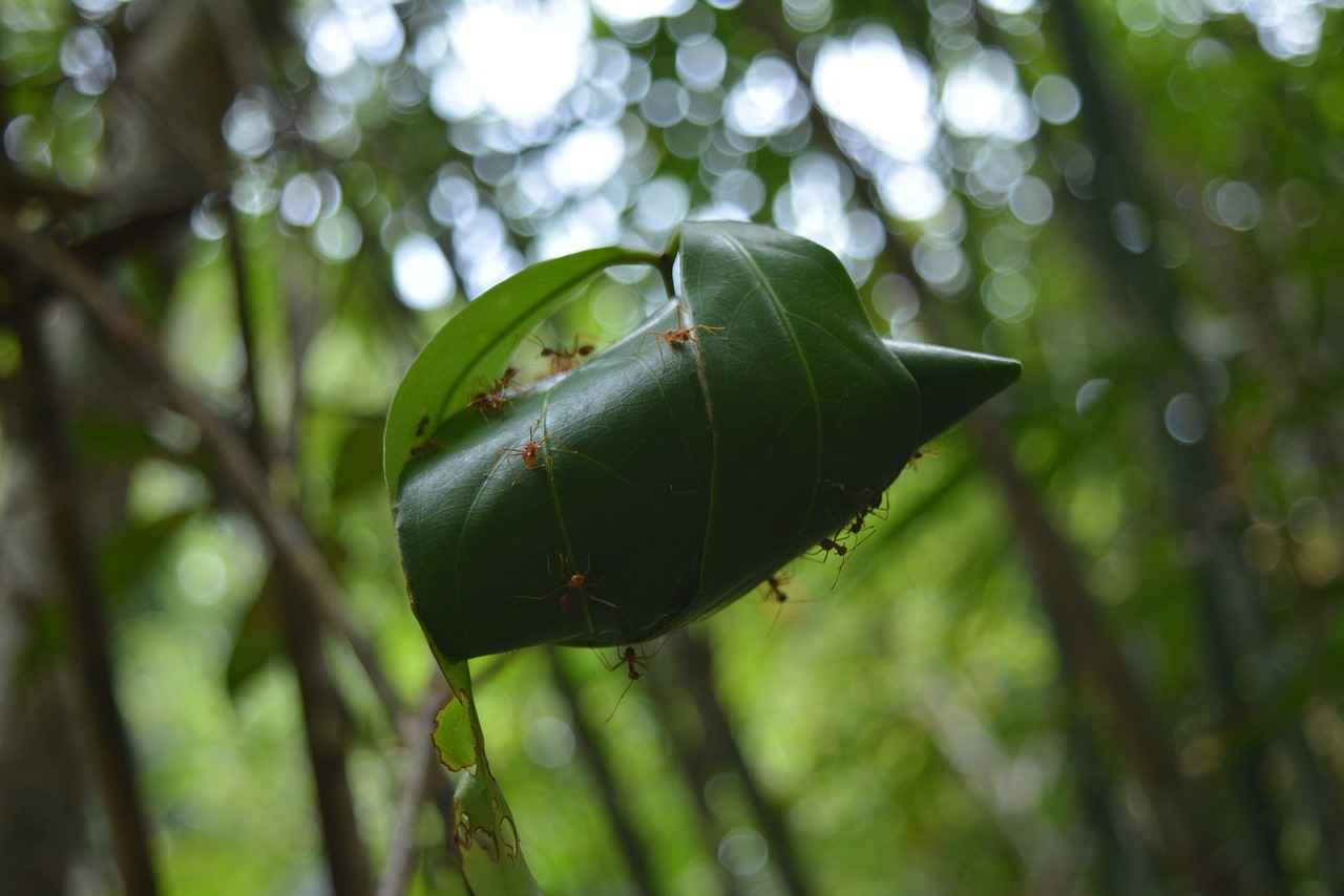 Les personnages principaux