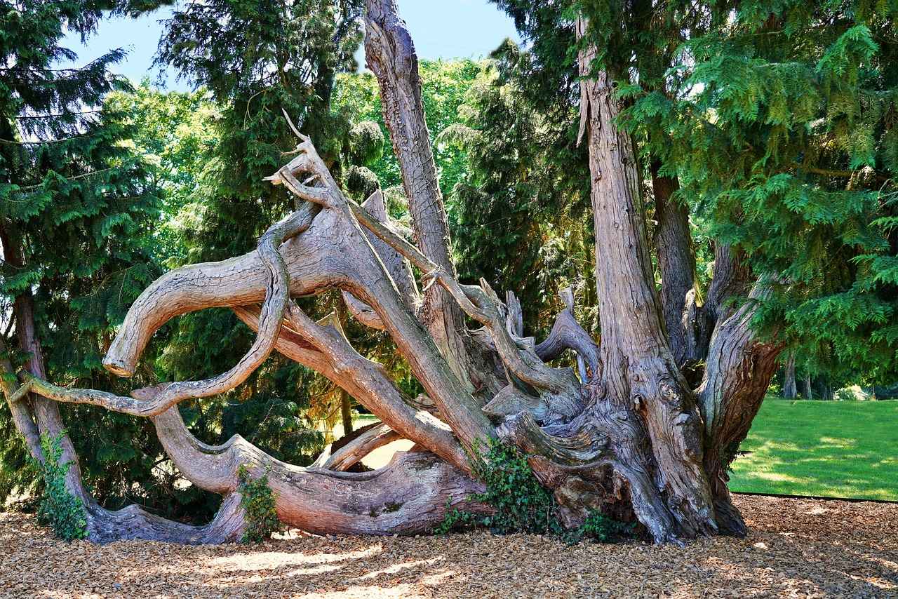 Les valeurs morales du conte