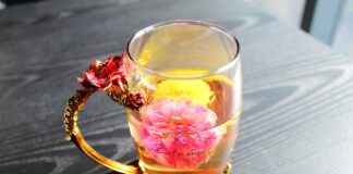 Laclasse com, Ecampus unicaen, aide au top : outils numériques pour réussir à l’école Laclasse com, Ecampus unicaen, aide au top : outils numériques pour réussir à l’école