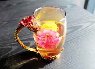 Laclasse com, Ecampus unicaen, aide au top : outils numériques pour réussir à l’école Laclasse com, Ecampus unicaen, aide au top : outils numériques pour réussir à l’école