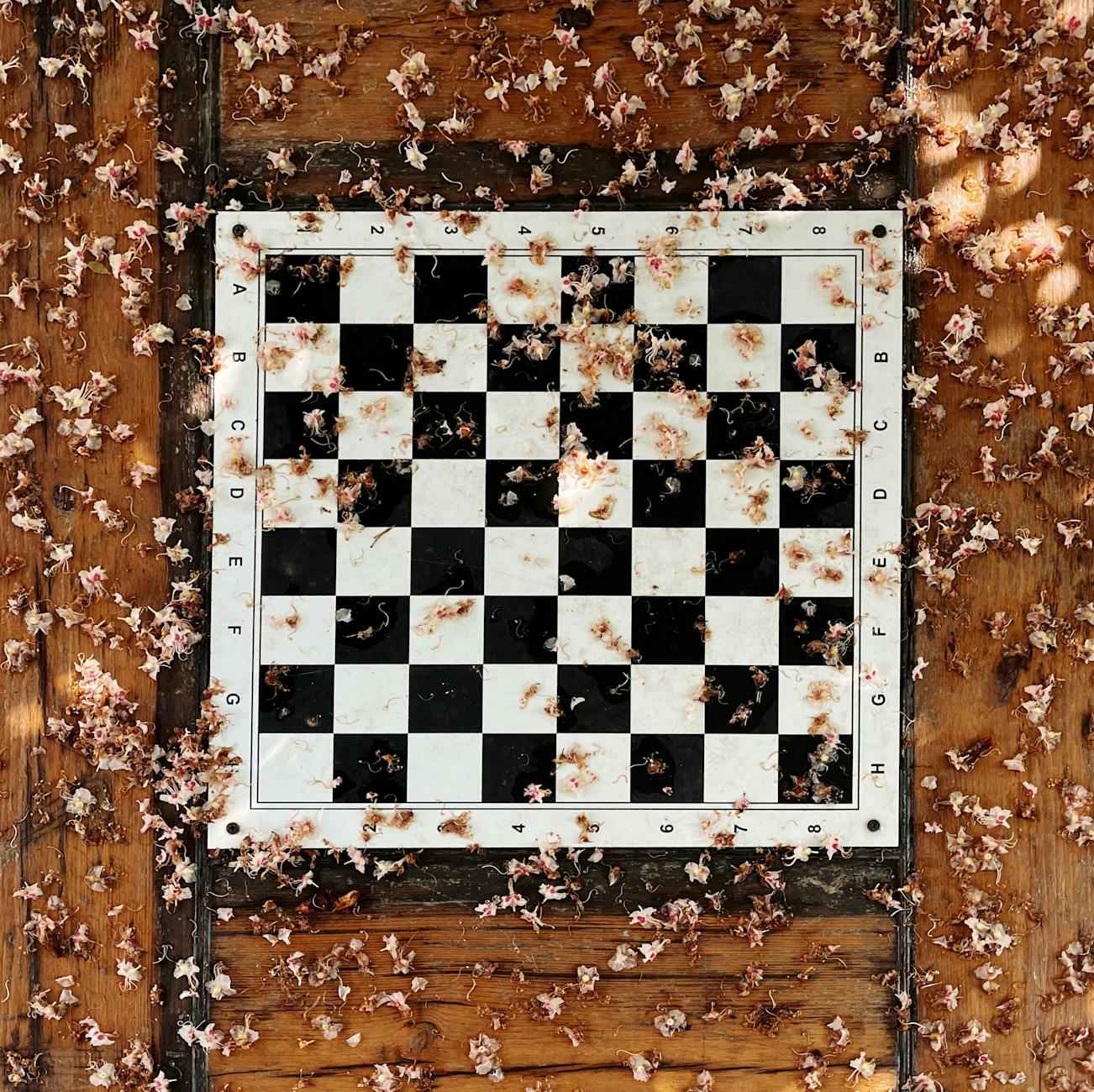 L’art floral : myosotis, renoncule, bleuet, fleur geffrier, rose couleur, oeillet d’inde et aneth à planter 2 La renoncule : élégance et douceur