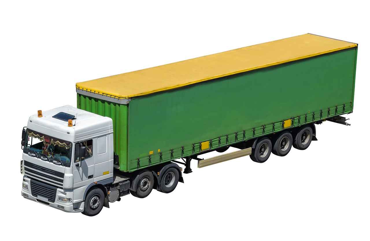 Les tendances de l'élevage canin en 2025