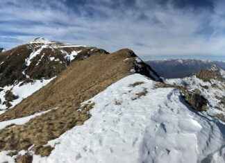 Location coffre de toit, location draisienne, troc vélo : toutes les astuces mobilité 2025 Location coffre de toit, location draisienne, troc vélo : toutes les astuces mobilité 2025