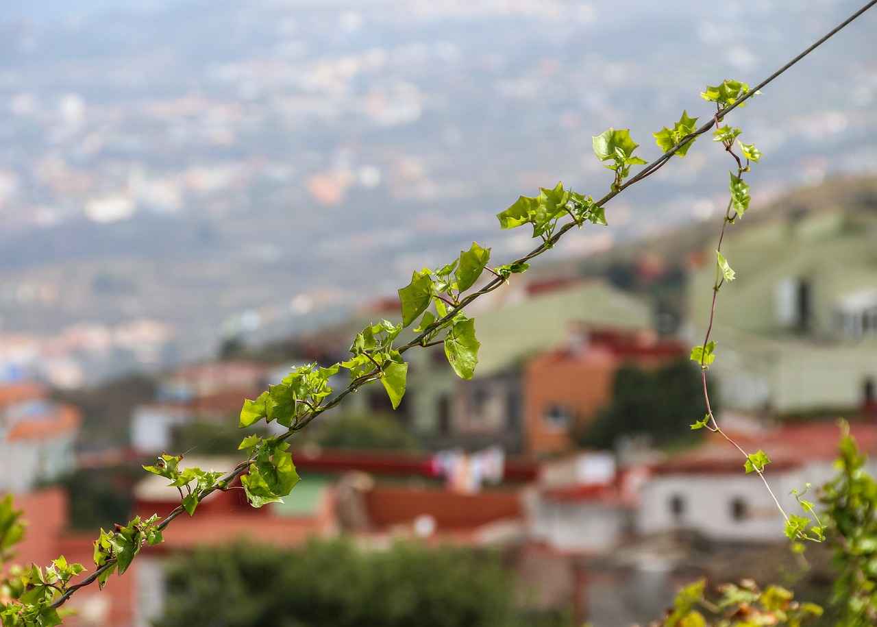Pourquoi choisir la location de coffres de toit?