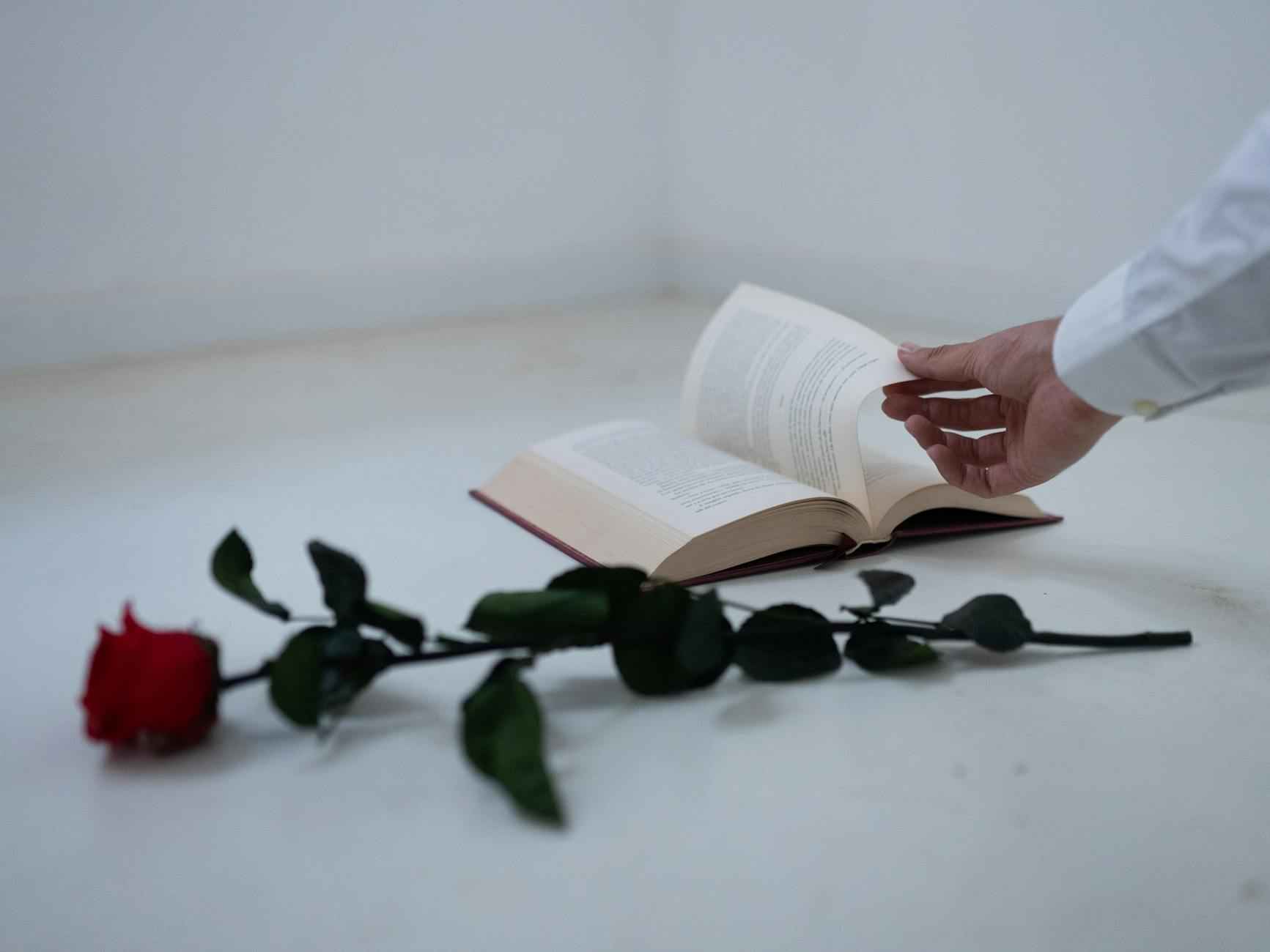 M comme mutuelle, Amundi EE, leasing social : panorama des solutions financières et d’assurances en 2025 1 Les mutuelles en 2025