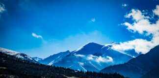 Marché boursier : orange bourse, Novo Nordisk, ASML, Veolia, Carmat, Adocia, Cgg et action ArcelorMittal Marché boursier : orange bourse, Novo Nordisk, ASML, Veolia, Carmat, Adocia, Cgg et action ArcelorMittal