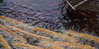 Patate douce, courge, navet, rutabaga : idées de recettes veggie avec cuisson artichaut et four Patate douce, courge, navet, rutabaga : idées de recettes veggie avec cuisson artichaut et four