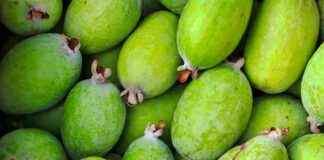 Plaisirs sucrés : nectar de feijoa, nocciolata, fromage blanc, vacherin et paniers de fruits en e et i Plaisirs sucrés : nectar de feijoa, nocciolata, fromage blanc, vacherin et paniers de fruits en e et i