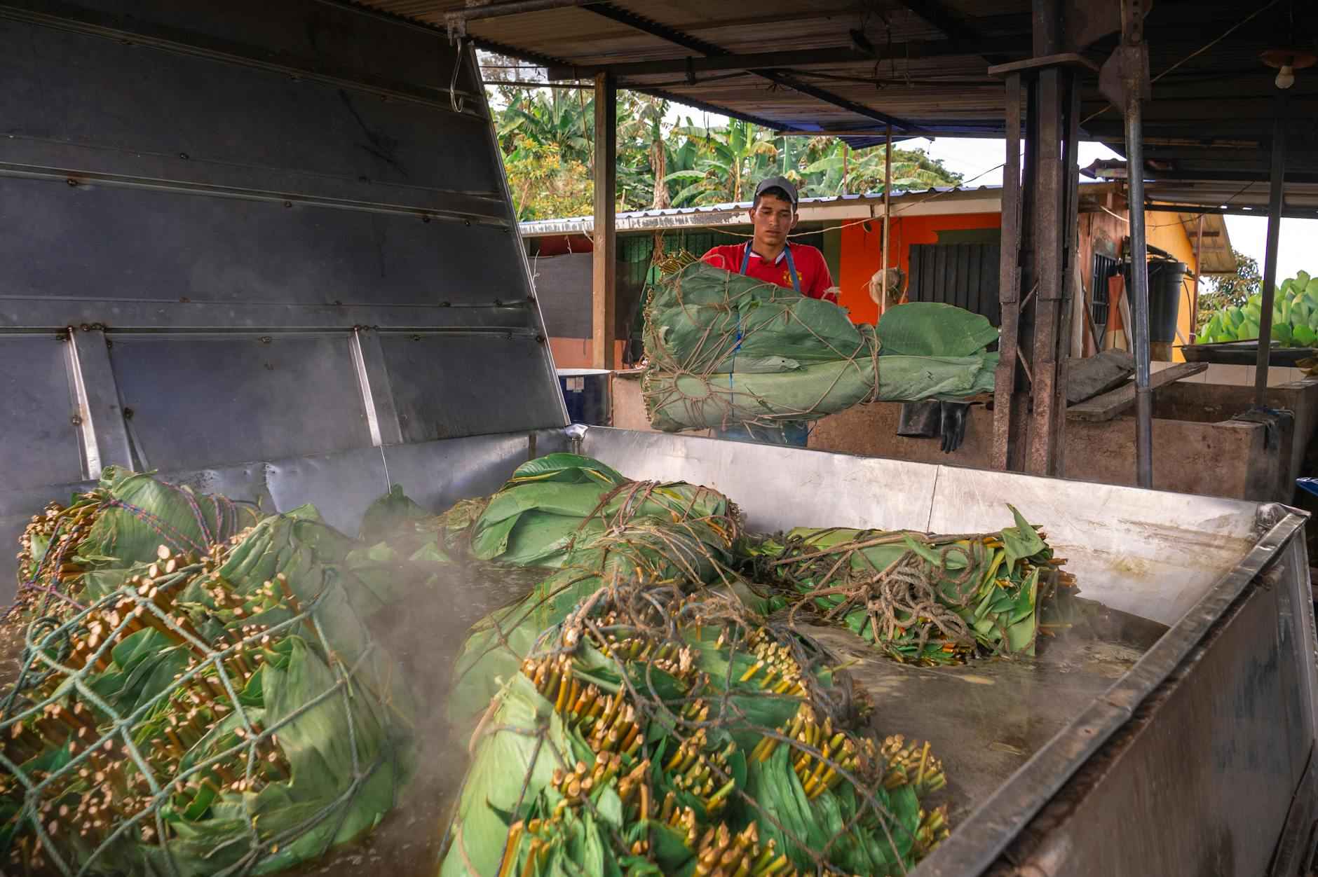 Nocciolata : La douceur irrésistible