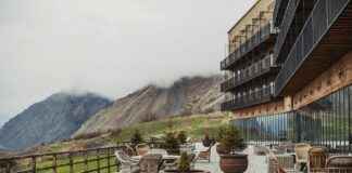 Plantes à la maison : catalpa, cerisier du Japon, arbre de jade, cactus de Noël, edelweiss et pourpier Plantes à la maison : catalpa, cerisier du Japon, arbre de jade, cactus de Noël, edelweiss et pourpier