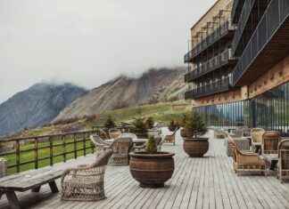 Plantes à la maison : catalpa, cerisier du Japon, arbre de jade, cactus de Noël, edelweiss et pourpier Plantes à la maison : catalpa, cerisier du Japon, arbre de jade, cactus de Noël, edelweiss et pourpier