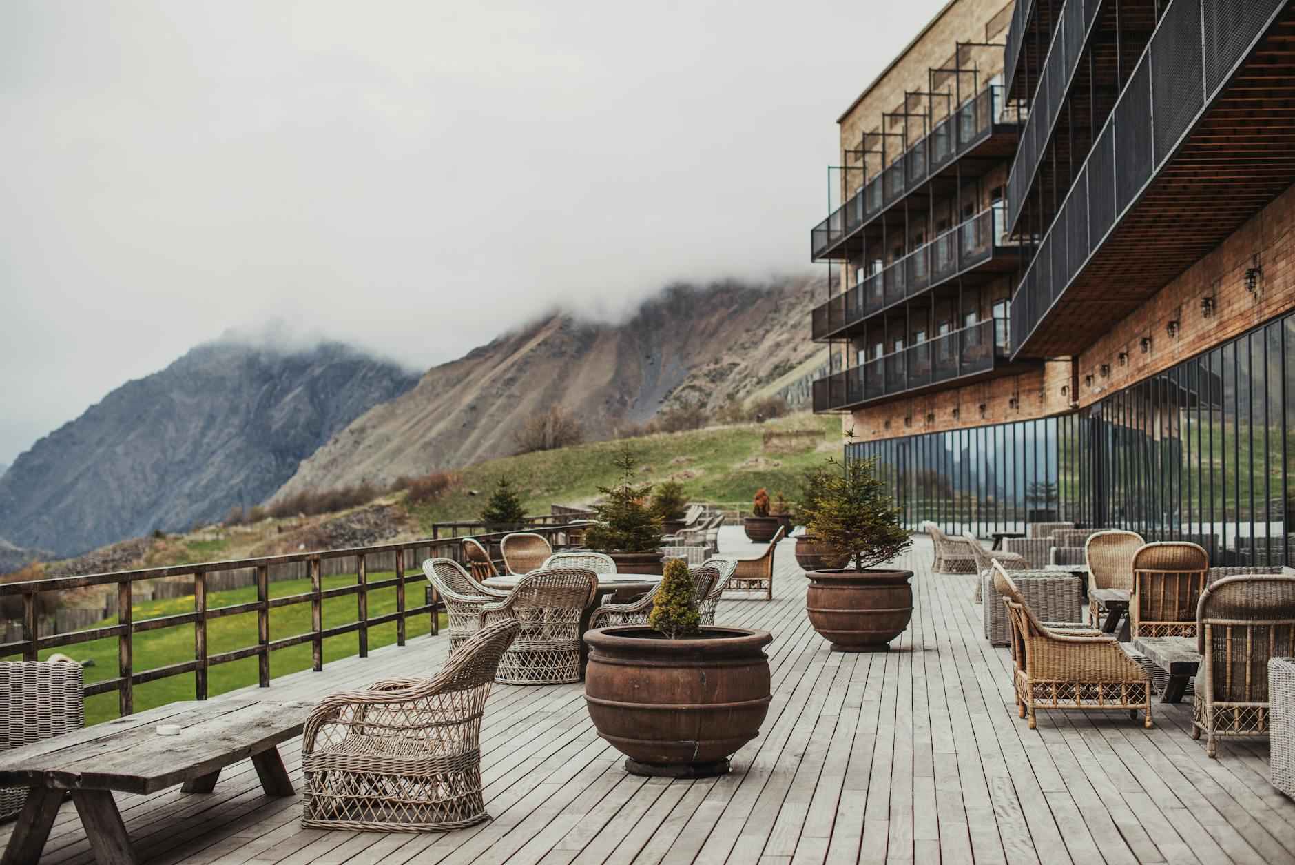 [Arbre de jade : Résilience et prospérité]