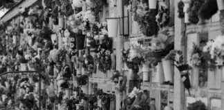 Plaques funéraires, avis de décès 09/18/31/36…74/81/86 et obsèques 53/85 : le guide des démarches en 2025 Plaques funéraires, avis de décès 09/18/31/36...74/81/86 et obsèques 53/85 : le guide des démarches en 2025