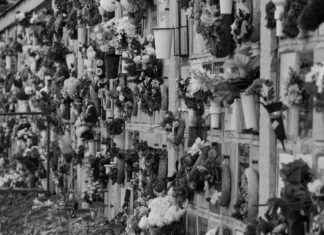 Plaques funéraires, avis de décès 09/18/31/36…74/81/86 et obsèques 53/85 : le guide des démarches en 2025 Plaques funéraires, avis de décès 09/18/31/36...74/81/86 et obsèques 53/85 : le guide des démarches en 2025