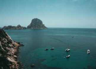 Santé et prévention : colposcopie, frottis, coronarographie, mésothérapie et hémoglobine glyquée expliqués Santé et prévention : colposcopie, frottis, coronarographie, mésothérapie et hémoglobine glyquée expliqués