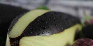 Saucisson, magret de canard au four, caviar d’aubergine & cake au thon : recettes faciles de l’hiver Saucisson, magret de canard au four, caviar d’aubergine & cake au thon : recettes faciles de l’hiver