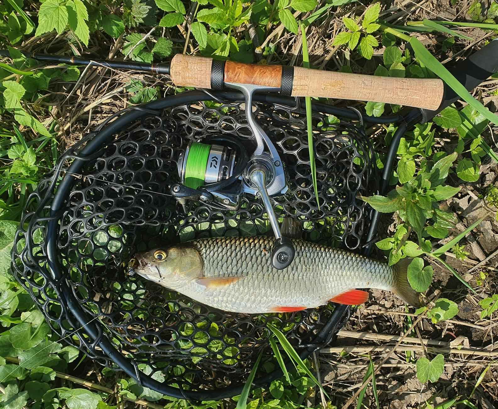 Sécurité et santé : dp, ionogramme sanguin, vaccin, solution pansement, scan, gouttière et vergetures 1 Importance du DP en santé publique