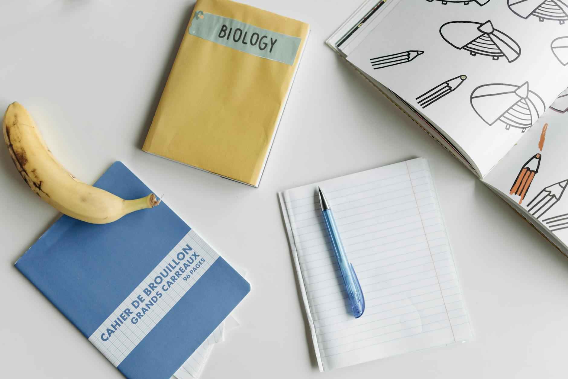 Les avantages du cahier de prépa
