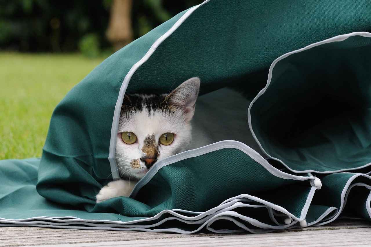 Le Parasol Déporté : Protection et Esthétique