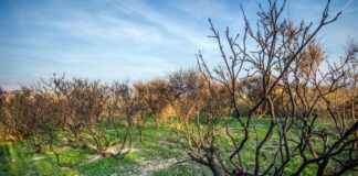 Voyagez entre Split Croatie, Ibiza avec location villa Le Collectionist et chalet luxe Alpes, pour un été plein air inoubliable Voyagez entre Split Croatie, Ibiza avec location villa Le Collectionist et chalet luxe Alpes, pour un été plein air inoubliable