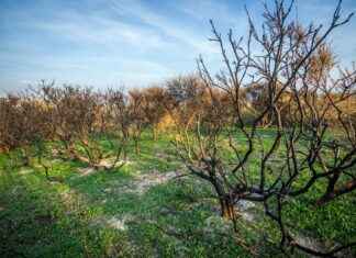 Voyagez entre Split Croatie, Ibiza avec location villa Le Collectionist et chalet luxe Alpes, pour un été plein air inoubliable Voyagez entre Split Croatie, Ibiza avec location villa Le Collectionist et chalet luxe Alpes, pour un été plein air inoubliable