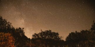 Camping Sud De La France Bord De Mer: ¿Por Qué Es Tu Próximo Destino Ideal?