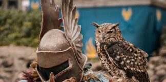 Carte Du Nord De La France : Découvrez Les Secrets Cachés Incroyables