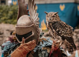 Carte Du Nord De La France : Découvrez Les Secrets Cachés Incroyables