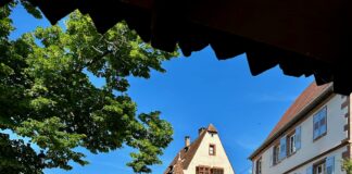 Ce Soir Au Stade De France : Que Réserve Cette Soirée Inoubliable ?